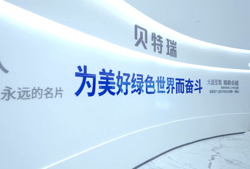 高首效硅氧負(fù)極材料奪冠灣高賽，賀雪琴深度解讀項(xiàng)目含金量